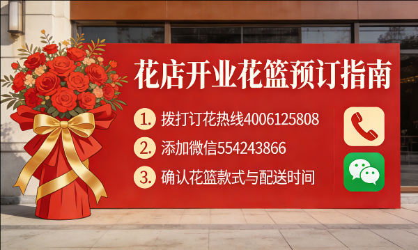 ���ݲ���������