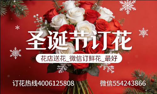 ���ݲ���������