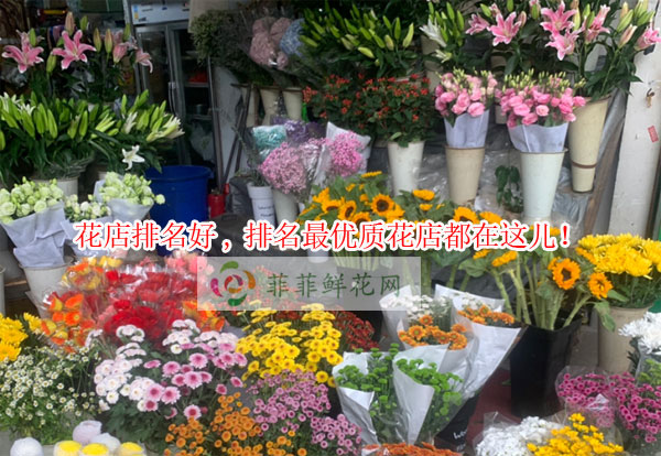 苏州沧浪区花店排名,苏州沧浪区最优质花店都在这儿!