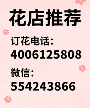 苏州沧浪区花店哪家好
