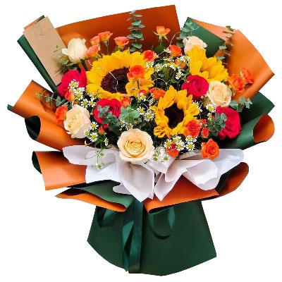 ���ݲ���������